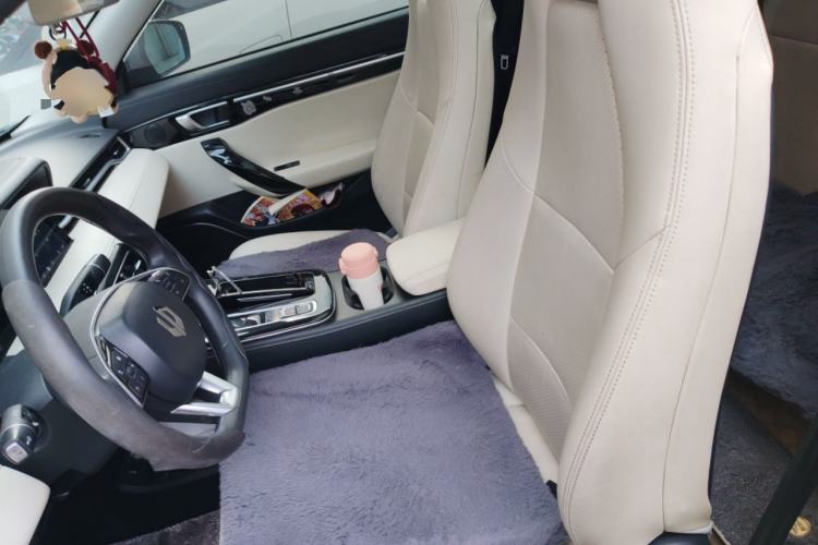 Used Leapmotor S01 2020 460 Standard Edition Left Front Seat