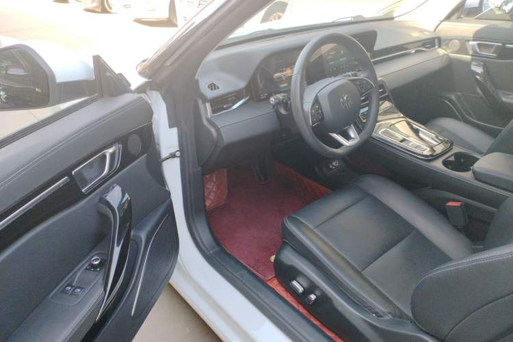 Used Leapmotor S01 2020 460 Standard Edition Driver Seat