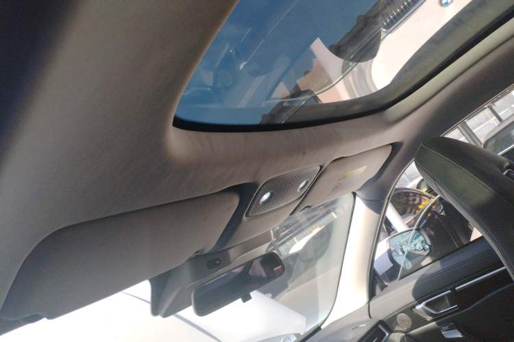 Used Leapmotor S01 2020 460 Standard Edition Headliner
