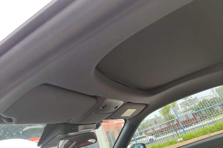 Used Leapmotor S01 2020 460 Pro Headliner