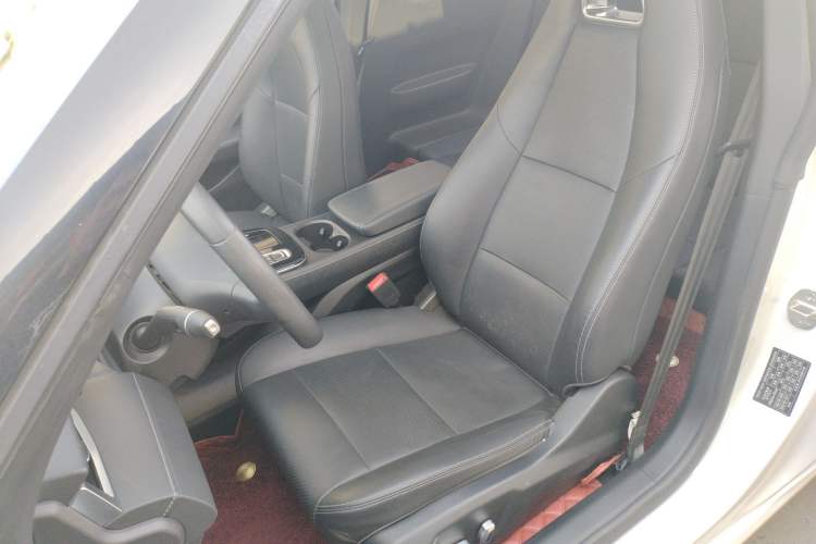 Used Leapmotor S01 2020 460 Standard Edition Left Front Seat