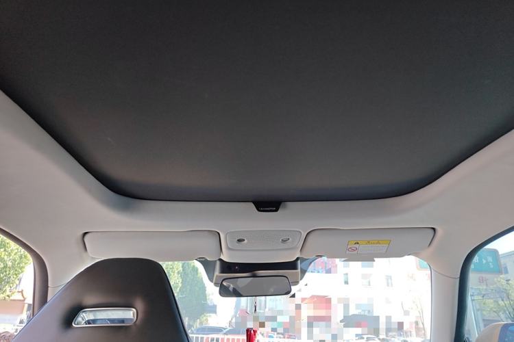 Used Leapmotor S01 2020 460 Pro Headliner