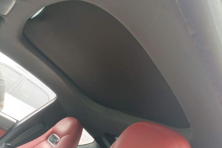 Used Leapmotor S01 2020 460 Standard Edition Headliner