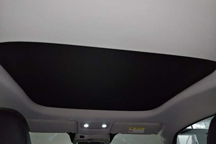 Used Leapmotor S01 2020 460 Standard Edition Headliner