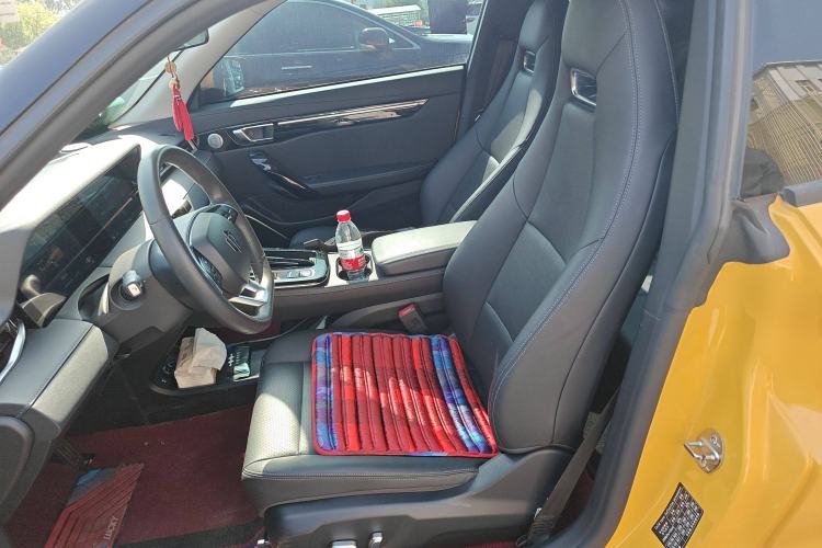 Used Leapmotor S01 2020 460 Pro Left Front Seat