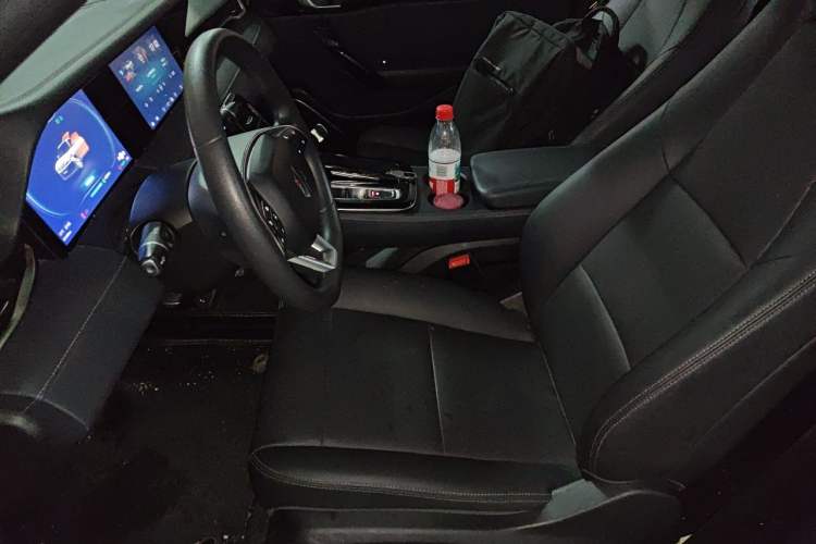 Used Leapmotor S01 2020 460 Standard Edition Left Front Seat