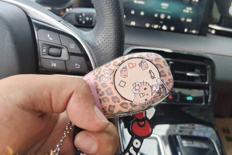 Used Leapmotor S01 2020 460 Pro Vehicle Key