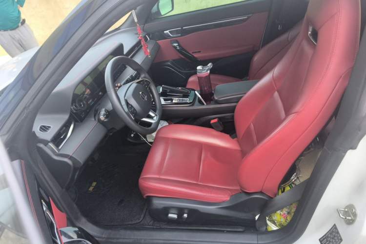 Used Leapmotor S01 2021 460 Cool Play Edition Left Front Seat
