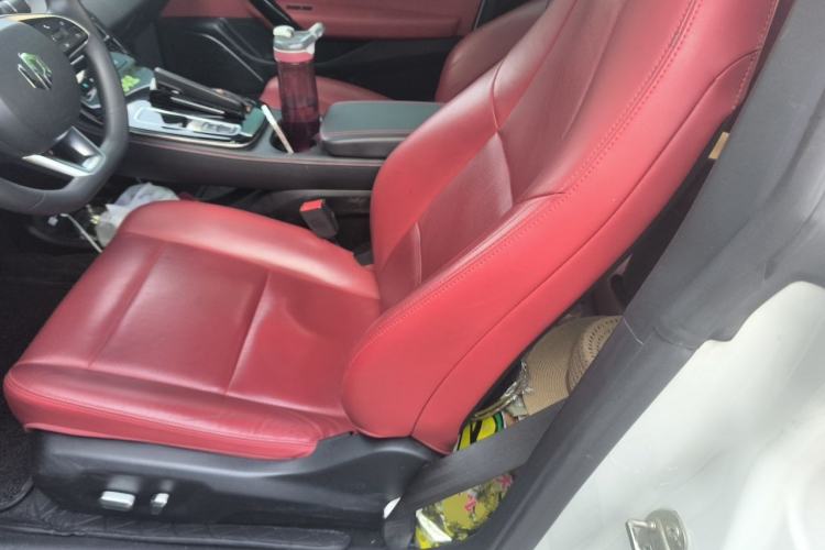 Used Leapmotor S01 2021 460 Cool Play Edition Left Rear Seat