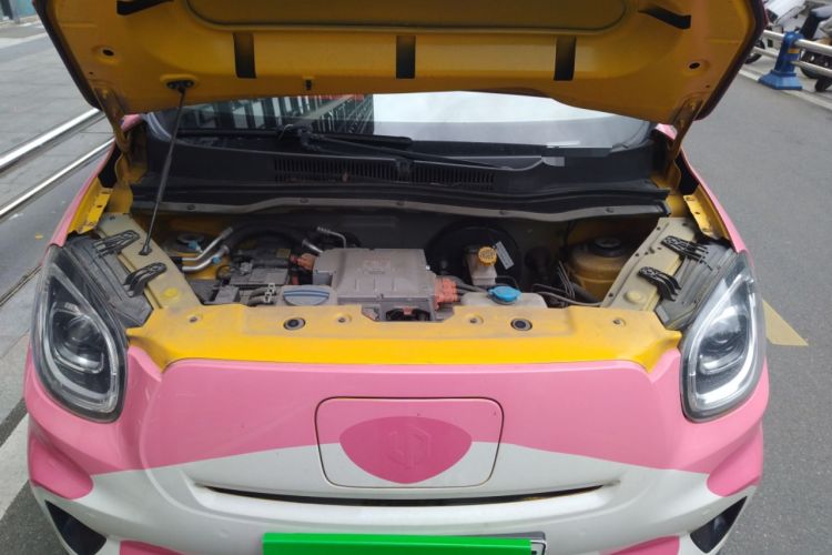 Used Leapmotor T03 2020 400 Luxury Edition Engine Bay