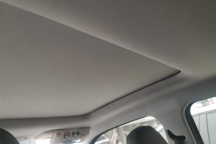 Used Leapmotor T03 2021 400 Lite Edition Lithium Iron Phosphate Headliner