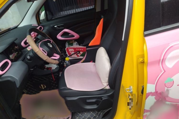 Used Leapmotor T03 2020 400 Luxury Edition Left Front Seat