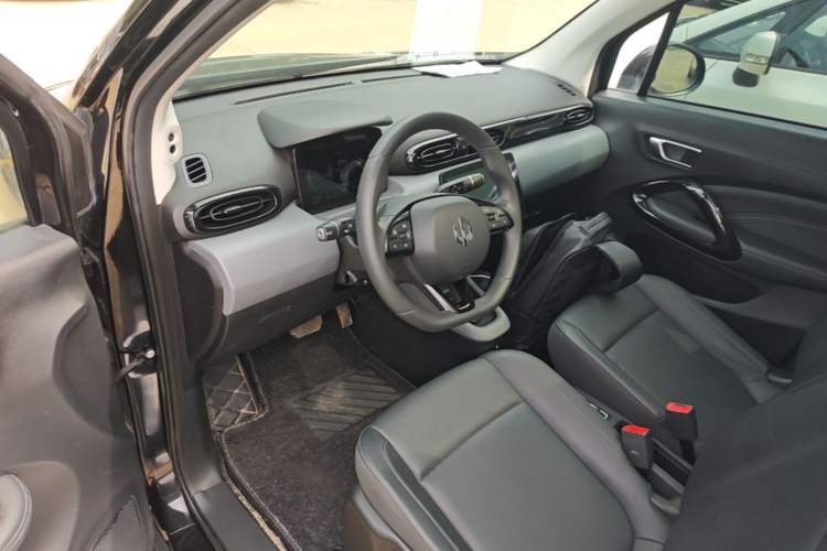 Used Leapmotor T03 2020 400 Luxury Edition Driver Seat