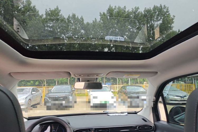 Used Leapmotor T03 2020 400 Luxury Edition Headliner
