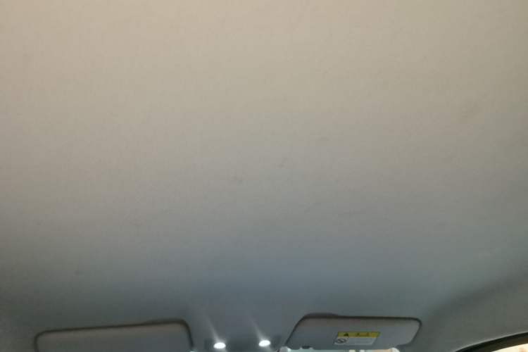Used Leapmotor T03 2020 400 Lite Edition Headliner