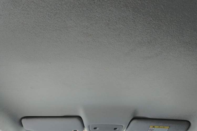 Used Leapmotor T03 2020 400 Lite Edition Headliner
