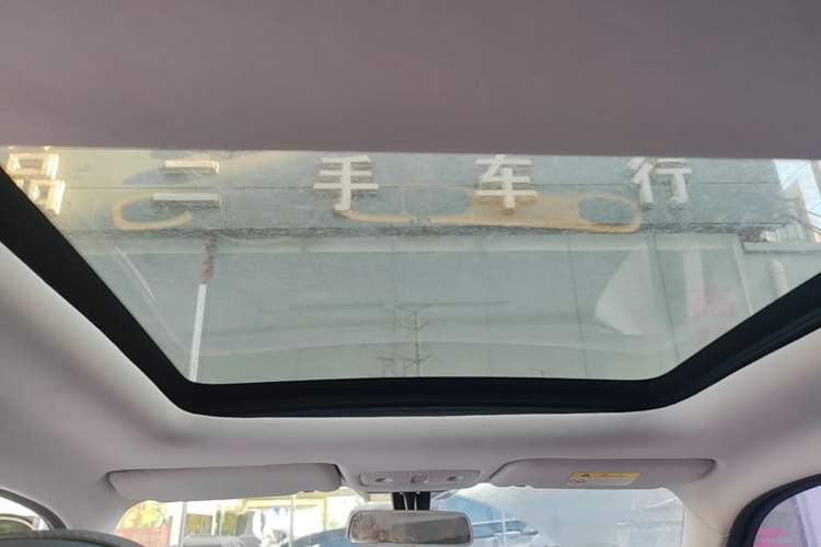 Used Leapmotor T03 2020 400 Comfort Edition Headliner