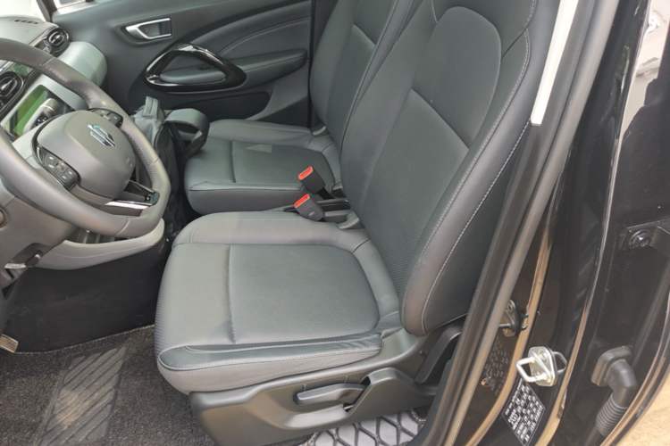 Used Leapmotor T03 2020 400 Luxury Edition Left Front Seat