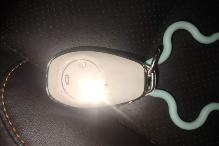 Used Leapmotor T03 2020 400 Luxury Edition Vehicle Key