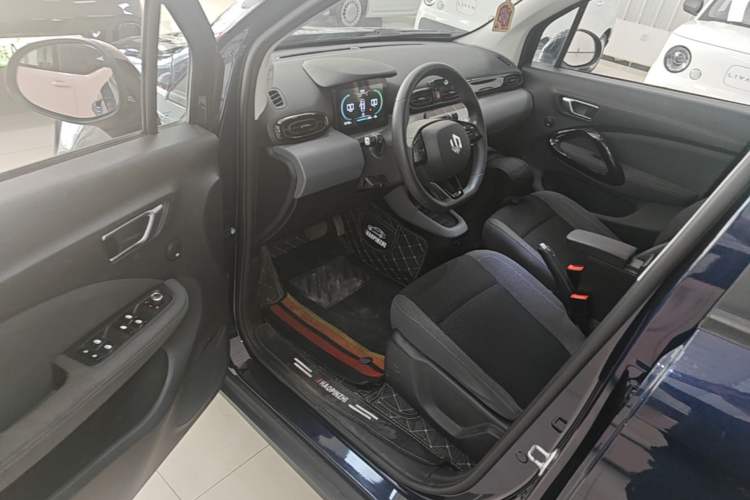 Used Leapmotor T03 2020 400 Lite Edition Driver Seat