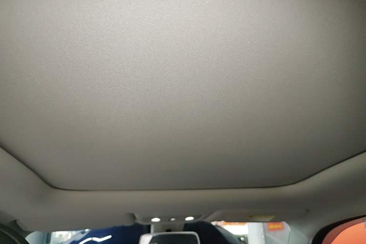 Used Leapmotor T03 2020 400 Luxury Edition Headliner