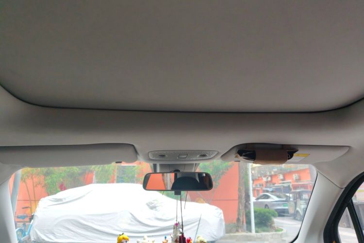 Used Leapmotor T03 2020 400 Luxury Edition Headliner