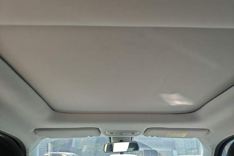 Used Leapmotor T03 2020 400 Luxury Edition Headliner