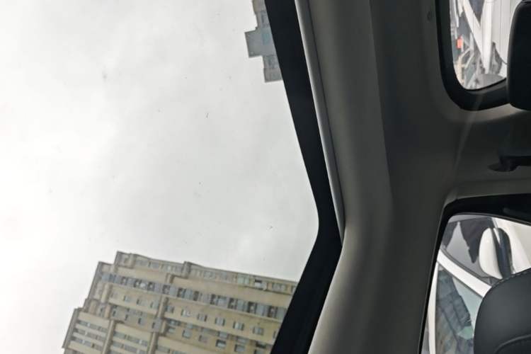 Used Leapmotor T03 2020 400 Luxury Edition Headliner
