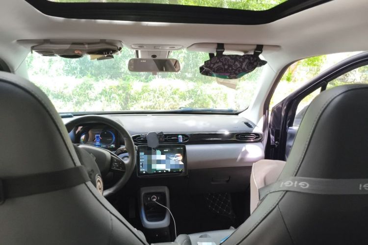 Used Leapmotor T03 2020 400 Luxury Edition Headliner