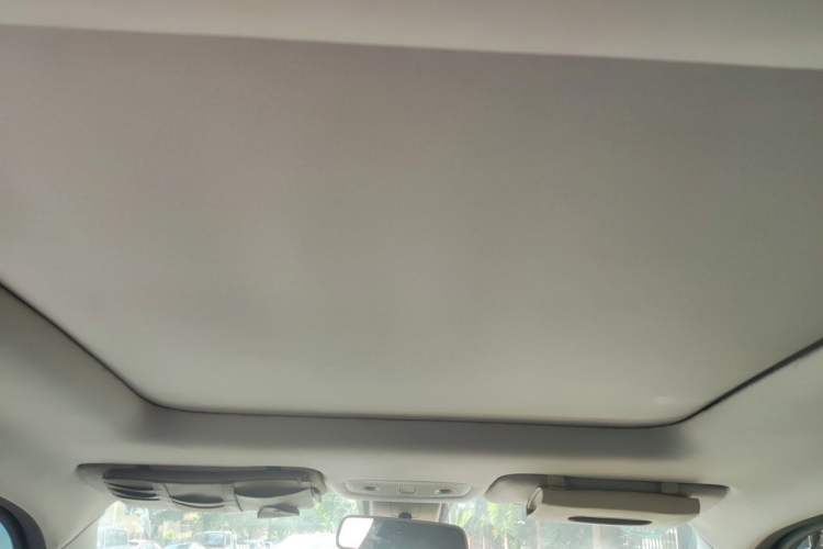 Used Leapmotor T03 2020 400 Luxury Edition Headliner
