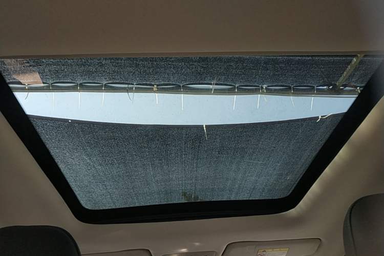 Used Leapmotor T03 2020 400 Luxury Edition Headliner