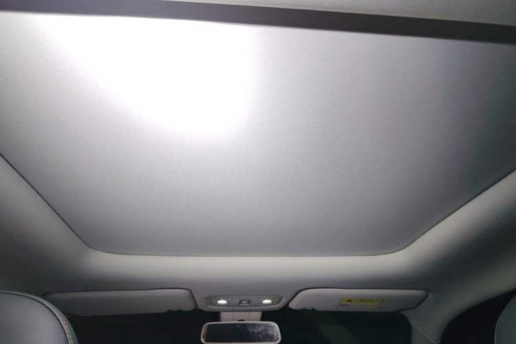 Used Leapmotor T03 2020 400 Luxury Edition Headliner
