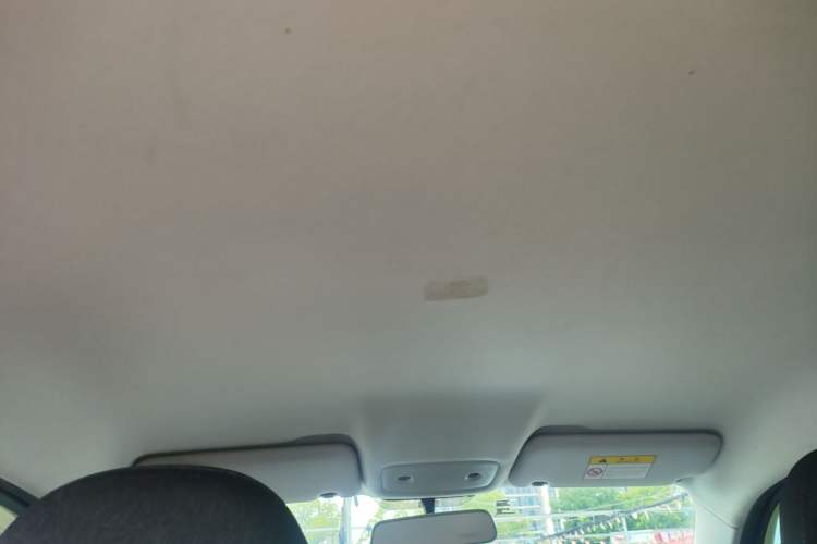 Used Leapmotor T03 2020 400 Lite Edition Headliner