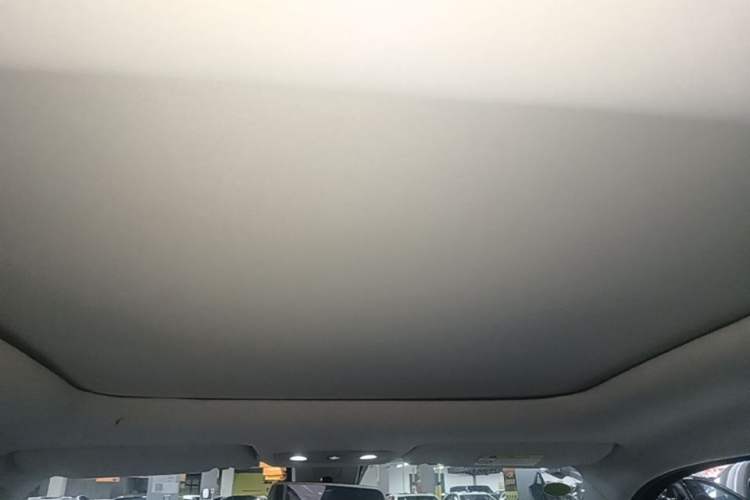 Used Leapmotor T03 2020 400 Luxury Edition Headliner
