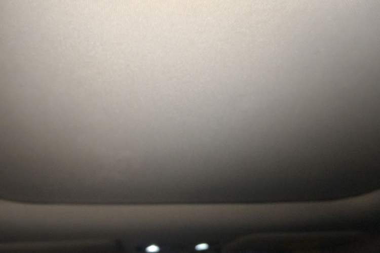 Used Leapmotor T03 2020 400 Luxury Edition Headliner