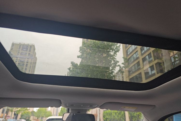Used Leapmotor T03 2020 400 Luxury Edition Headliner