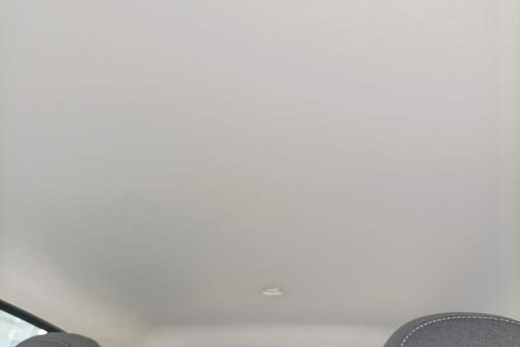 Used Leapmotor T03 2020 400 Lite Edition Headliner