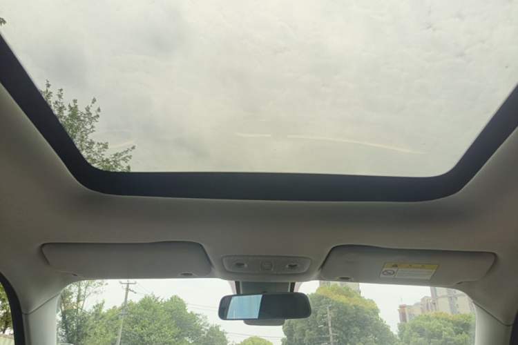 Used Leapmotor T03 2020 400 Luxury Edition Headliner