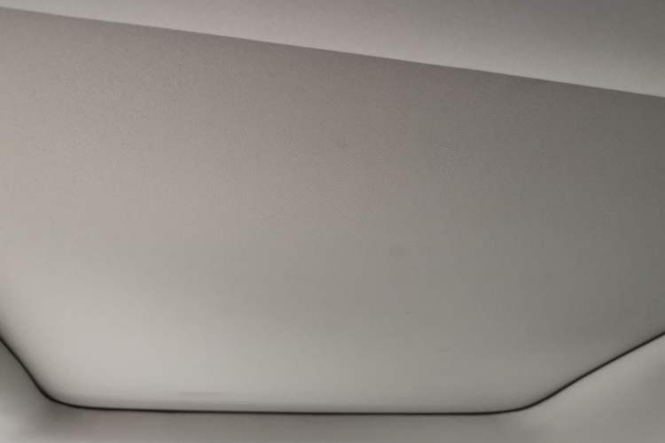 Used Leapmotor T03 2020 400 Luxury Edition Headliner