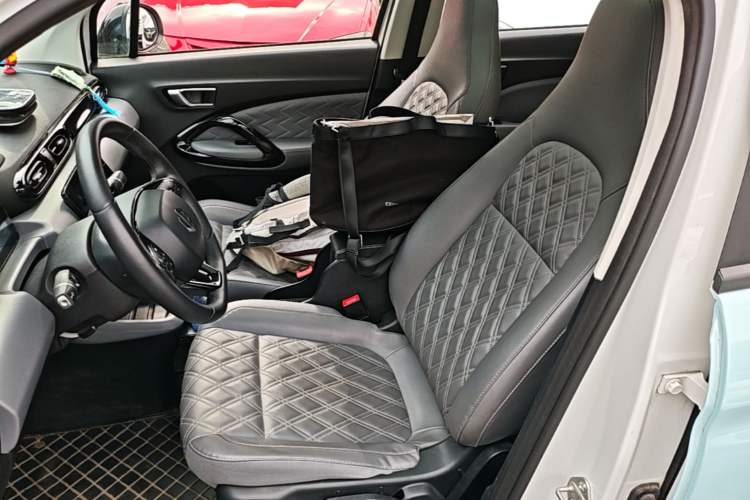 Used Leapmotor T03 2020 400 Luxury Edition Left Front Seat