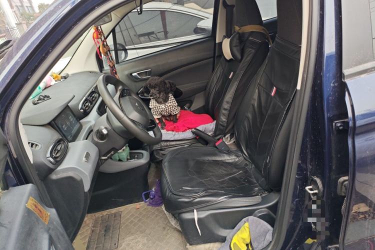 Used Leapmotor T03 2020 400 Lite Edition Left Front Seat