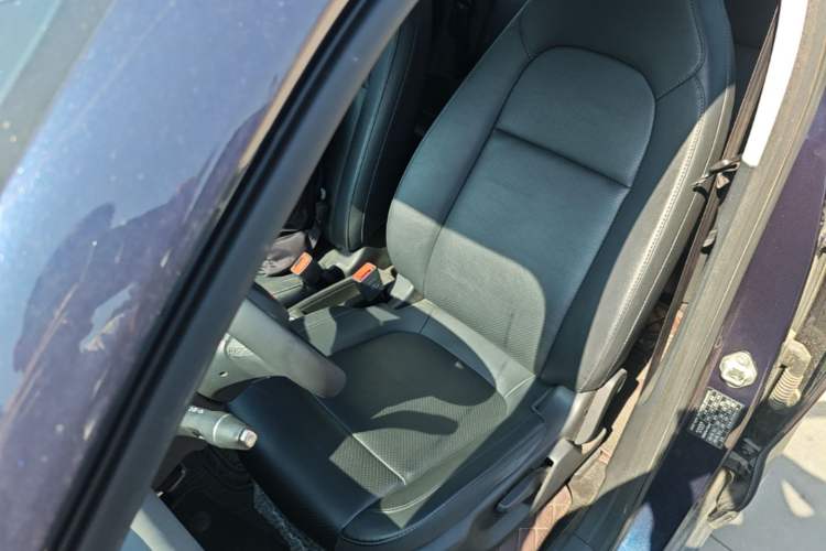 Used Leapmotor T03 2020 400 Luxury Edition Left Front Seat