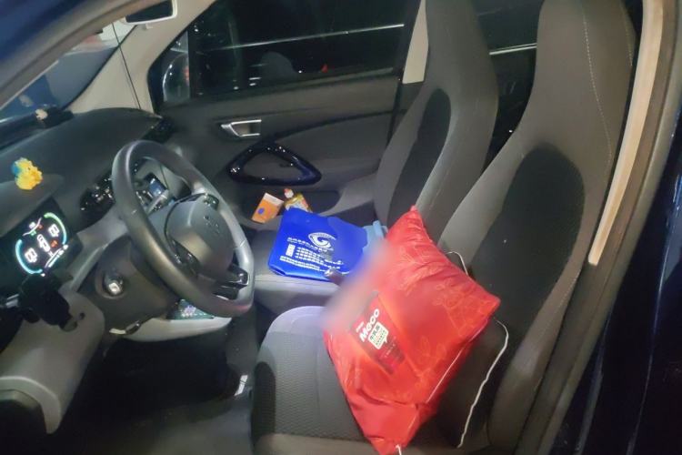 Used Leapmotor T03 2020 400 Lite Edition Left Front Seat