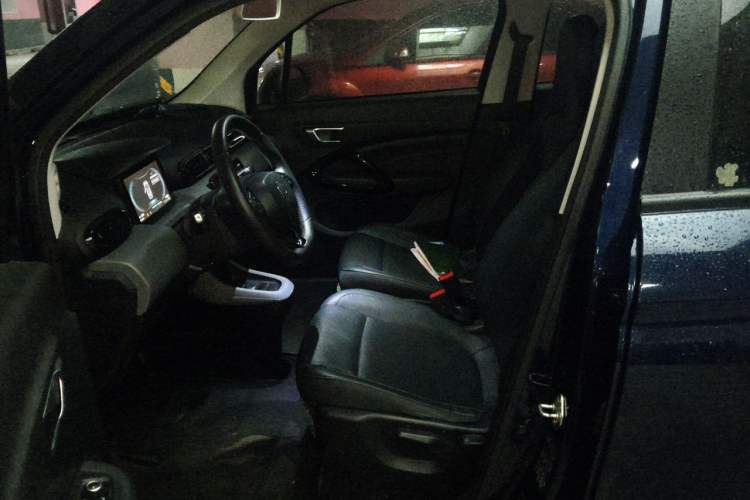 Used Leapmotor T03 2020 400 Luxury Edition Left Front Seat