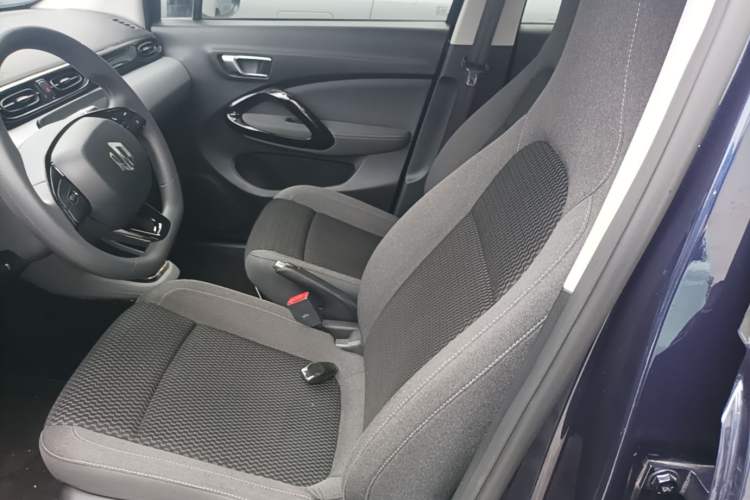 Used Leapmotor T03 2020 400 Lite Edition Left Front Seat