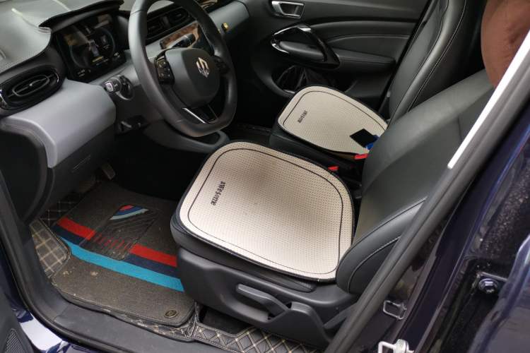 Used Leapmotor T03 2020 400 Luxury Edition Left Front Seat
