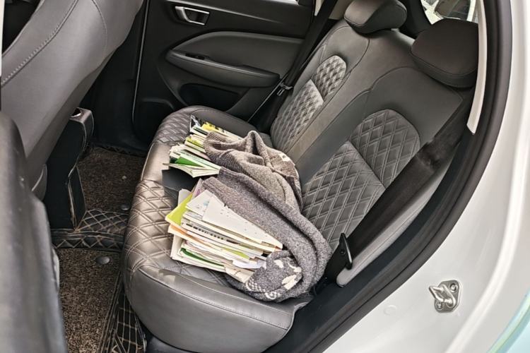 Used Leapmotor T03 2020 400 Luxury Edition Left Rear Seat