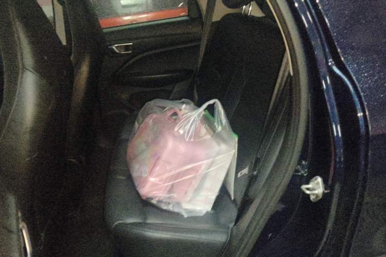 Used Leapmotor T03 2020 400 Luxury Edition Left Rear Seat