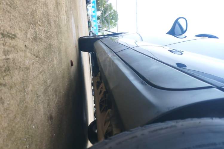 Used Leapmotor T03 2020 400 Lite Edition Left Side Sill