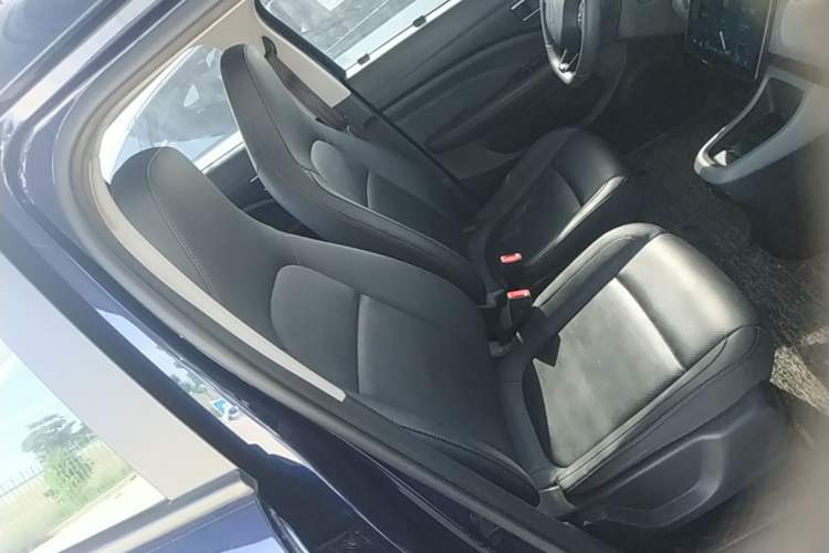Used Leapmotor T03 2020 400 Luxury Edition Right Front Seat